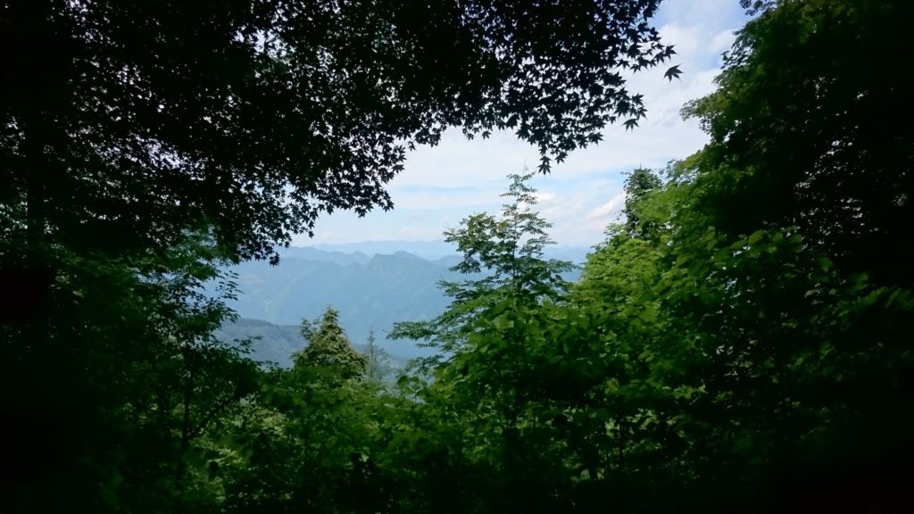 三峯神社 奥宮参道からの風景