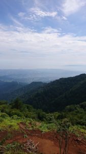 下山途中の風景