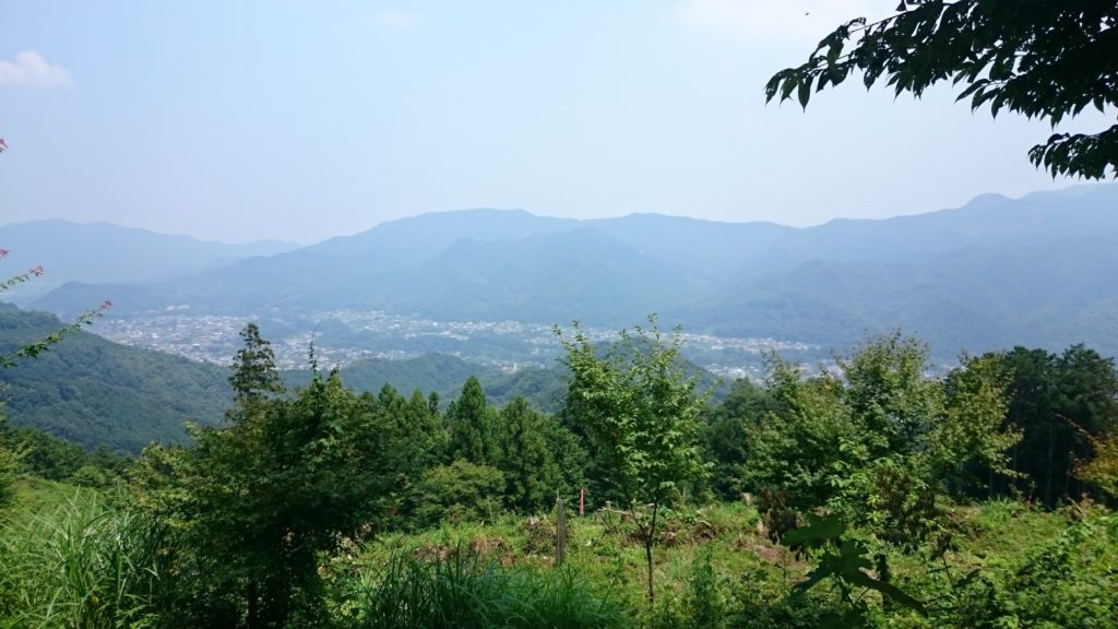 宝登山中腹からの風景