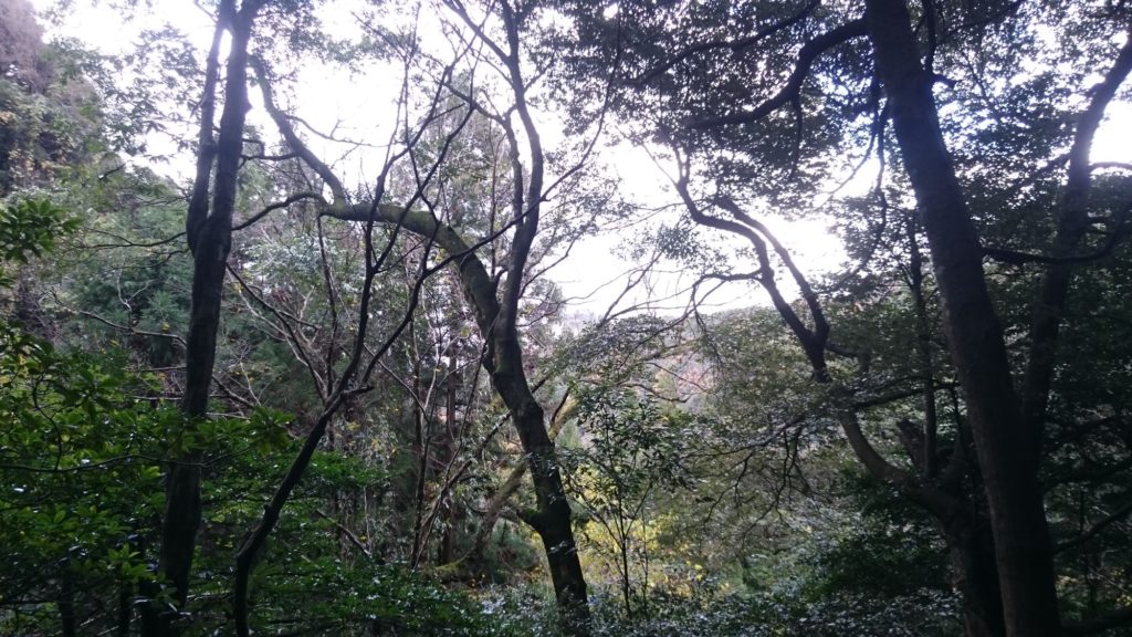 韓竈神社への道?